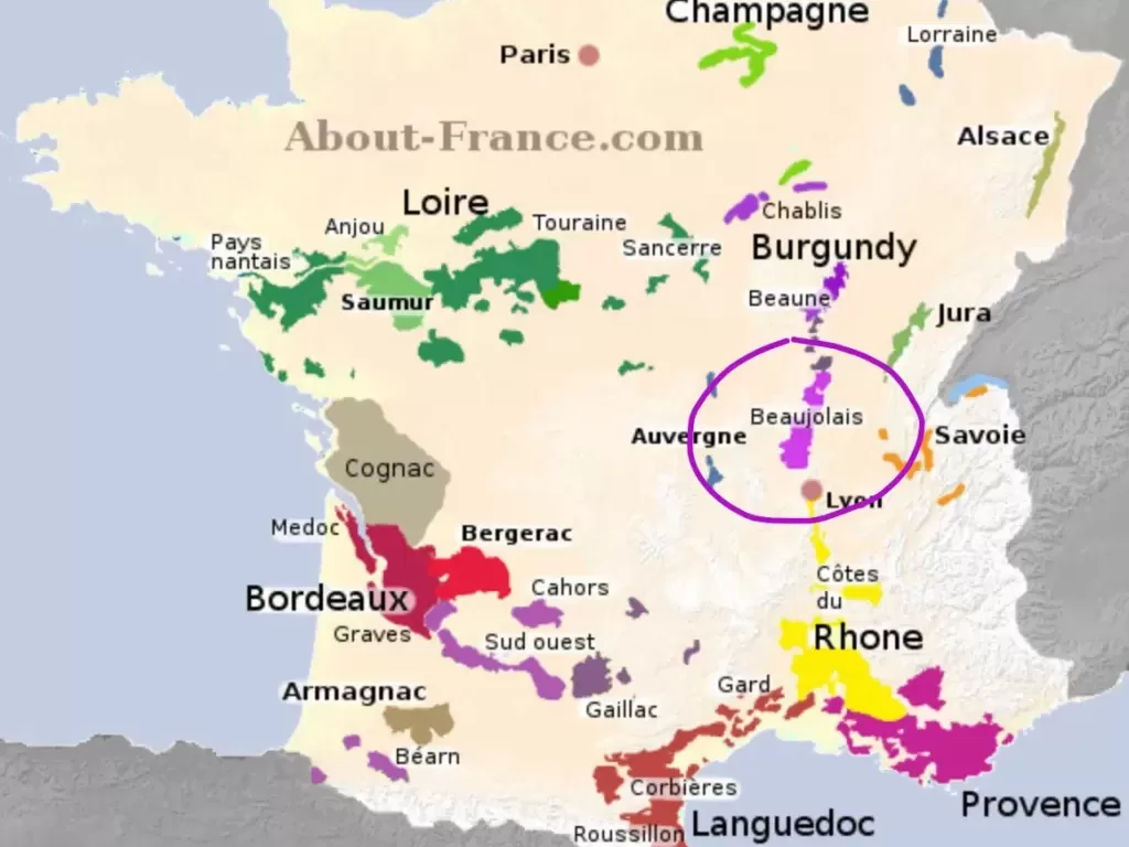 Beaujolais: The French Wine Region You Thought You Knew