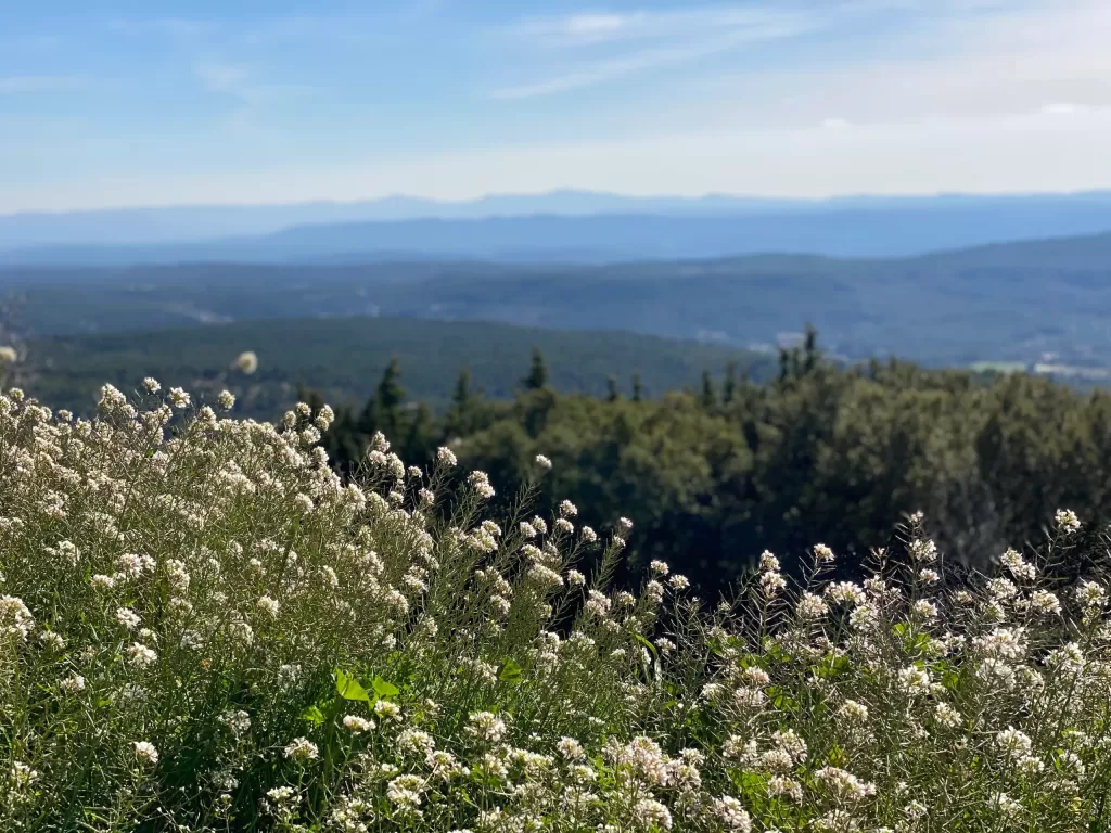 An early Spring Day in the Haut Var, Provence: Tourtour — Part 3/3